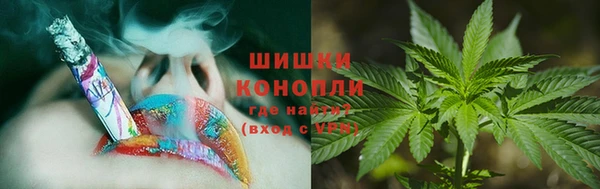 трава Зерноград