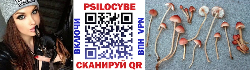 Купить закладки  Сольцы  Псилоцибиновые грибы MAGIC MUSHROOMS 